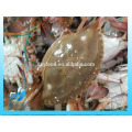 frozen blue swimming crab 100g -150g 150-200g